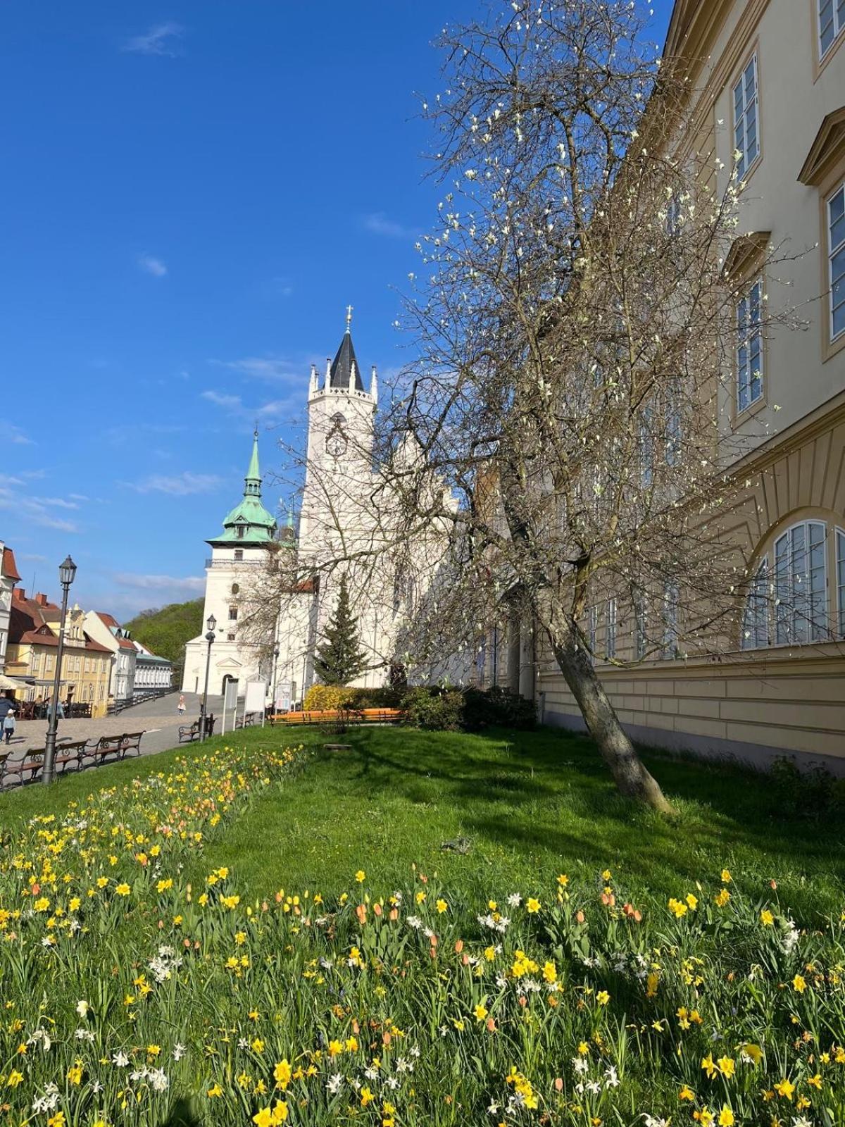 Vila Adela - Теплице Экстерьер фото